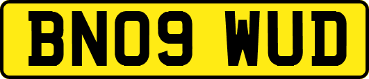 BN09WUD