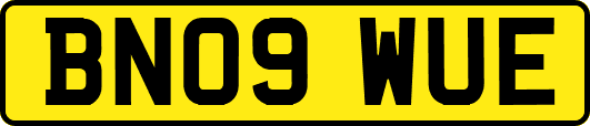 BN09WUE