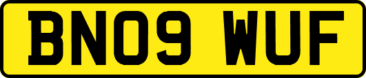 BN09WUF