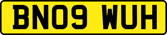 BN09WUH