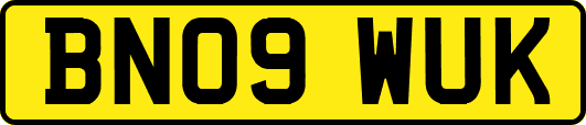 BN09WUK
