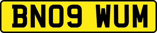 BN09WUM