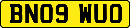 BN09WUO