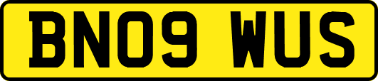 BN09WUS