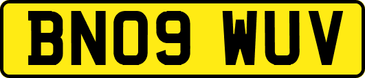BN09WUV
