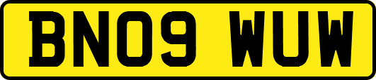 BN09WUW