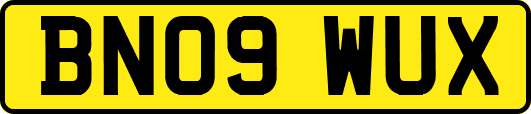 BN09WUX