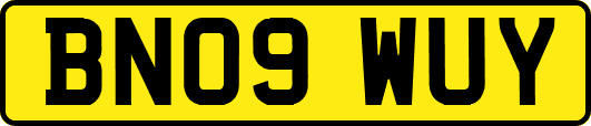 BN09WUY
