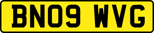 BN09WVG