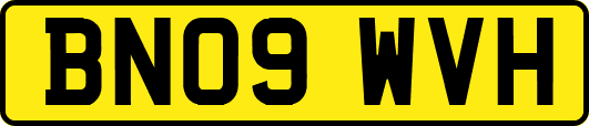 BN09WVH