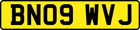 BN09WVJ