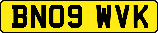 BN09WVK