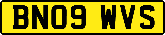 BN09WVS