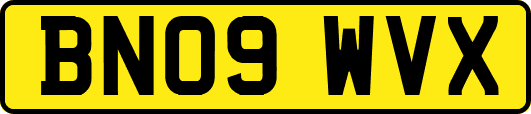 BN09WVX