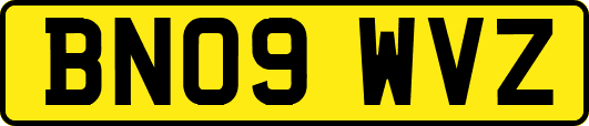 BN09WVZ