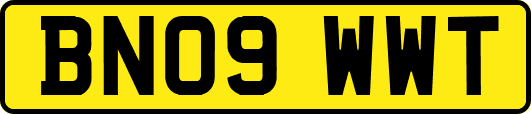 BN09WWT