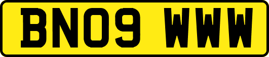 BN09WWW