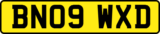 BN09WXD