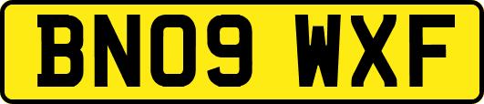 BN09WXF