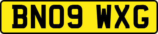 BN09WXG
