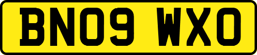 BN09WXO