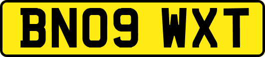 BN09WXT