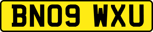 BN09WXU