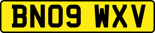 BN09WXV
