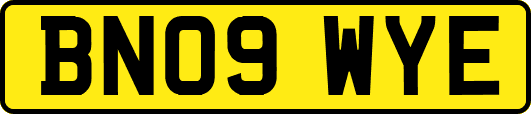 BN09WYE
