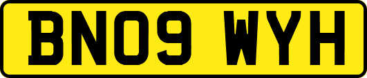 BN09WYH