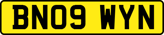 BN09WYN