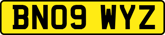 BN09WYZ