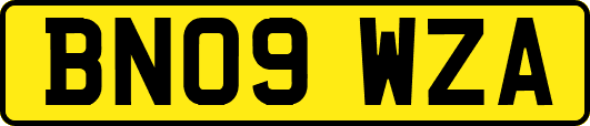 BN09WZA