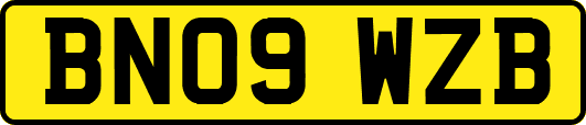 BN09WZB