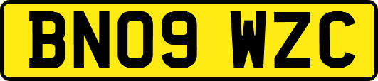 BN09WZC