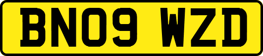BN09WZD