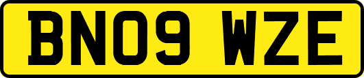 BN09WZE