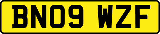 BN09WZF