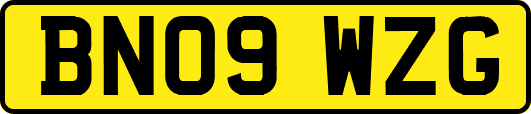 BN09WZG
