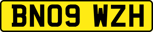BN09WZH