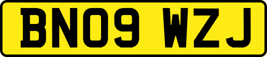 BN09WZJ
