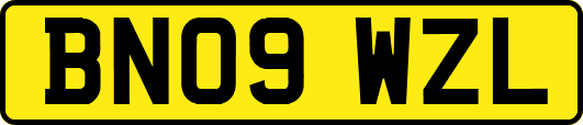 BN09WZL