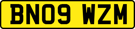 BN09WZM
