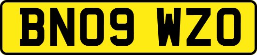 BN09WZO