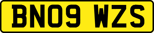 BN09WZS