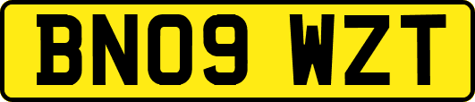 BN09WZT