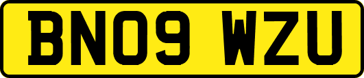 BN09WZU