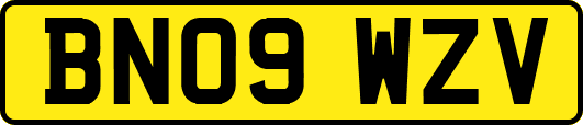 BN09WZV