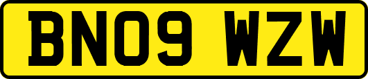 BN09WZW