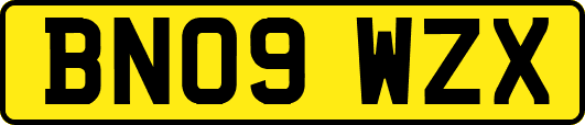 BN09WZX